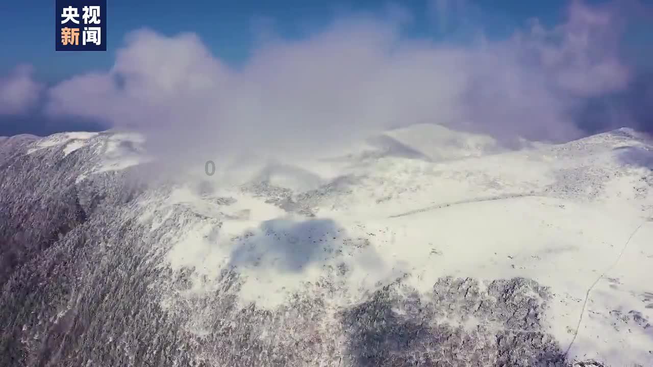 练了半个月腹肌了怎么都没效果